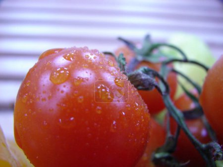 Téléchargez les photos : Tomates dans le magasin close-up - en image libre de droit