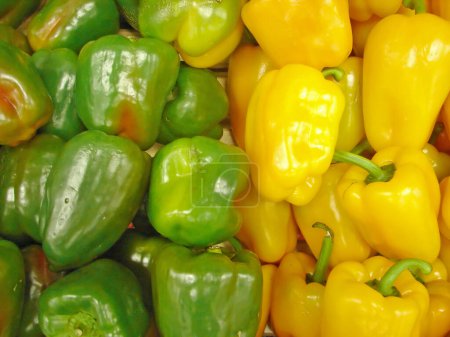 Photo for "green and yellow peppers" - Royalty Free Image
