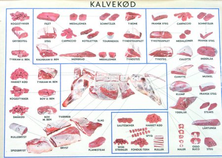 Photo for Illustration of the meat parts - Royalty Free Image