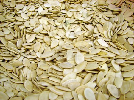 Photo for Pumpkin seeds as a background - Royalty Free Image