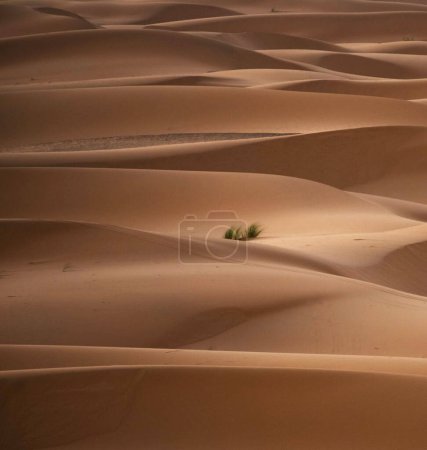 Téléchargez les photos : Dunes du désert, thème de voyage vibrant coloré - en image libre de droit