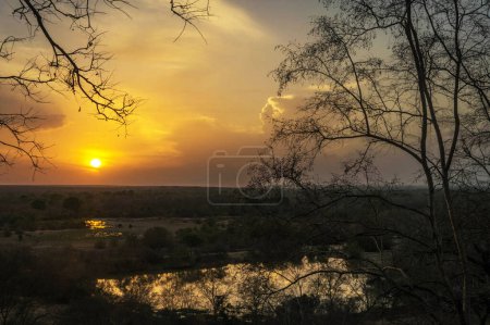 Photo for Ghana wildlife Pictures view - Royalty Free Image