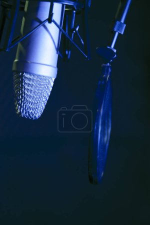 Téléchargez les photos : Professional microphone suspended in the air - en image libre de droit