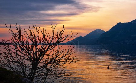 Photo for Malcesine,Italy , travel place on background - Royalty Free Image