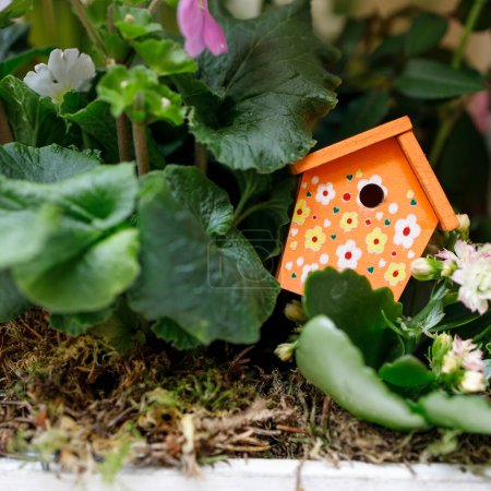 Photo for Small decorative orange birdhouse with red polka dots in primrose leaves - Royalty Free Image