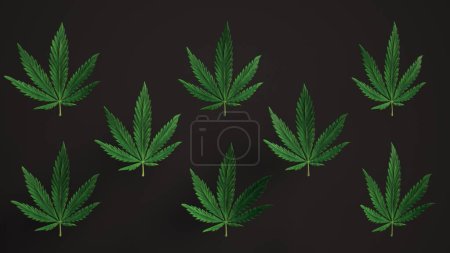Téléchargez les photos : Lovely green Cannabis leaves Loop background leaf Réaliste 3D Luma Mat loop Animation. Marijuana, Cannabis, drogues récréatives - en image libre de droit