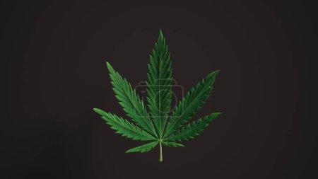 Photo for "Lovely green Cannabis leaves Loop background leaf Realistic 3D Luma Matte loop Animation. Marijuana, Cannabis, recreational drugs" - Royalty Free Image