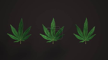 Téléchargez les photos : "Lovely green Cannabis leaves Loop background leaf Réaliste 3D Luma Mat loop Animation. Marijuana, Cannabis, drogues récréatives" - en image libre de droit