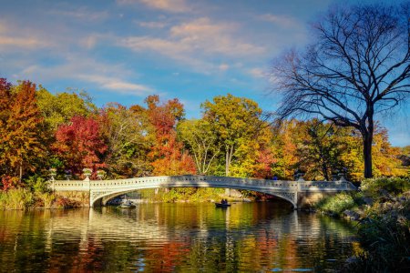 Photo for "Central Park in autumn  in midtown Manhattan New York City" - Royalty Free Image