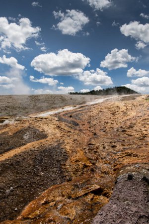 Photo for Yellowstone geothermal pools of bacteria - Royalty Free Image