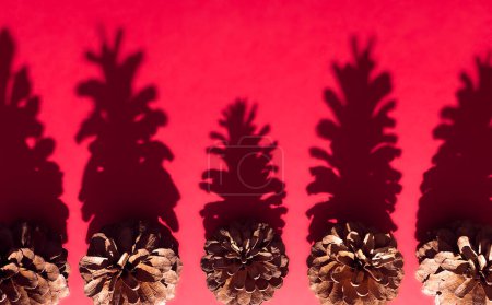 Photo for "hard shaded pine cones" - Royalty Free Image
