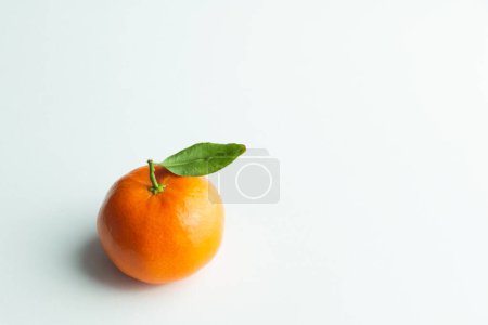 Photo for "tangerine on white background" - Royalty Free Image