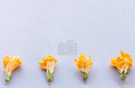 Photo for Dried flowers background view - Royalty Free Image