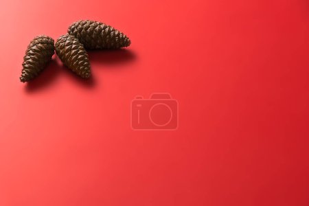Photo for Christmas pineapples background view - Royalty Free Image