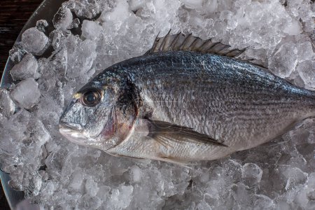 Téléchargez les photos : "Préparation de la cuisson des fruits de mer. Vue du dessus du dorado sur glace
." - en image libre de droit