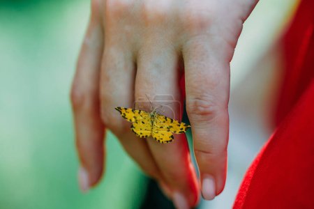 Téléchargez les photos : "un gros plan d'un papillon perché sur les doigts d'une prêtresse. rite païen mystique. païens aujourd'hui." - en image libre de droit