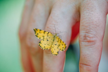 Foto de "un primer plano de una mariposa posada en los dedos de una sacerdotisa. rito pagano místico. paganos hoy." - Imagen libre de derechos