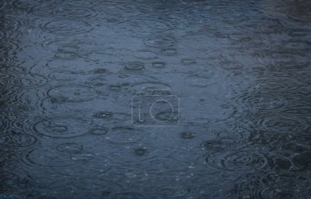 Téléchargez les photos : "gouttes de pluie tombant dans la piscine
" - en image libre de droit