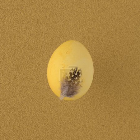 Foto de Huevo amarillo sobre fondo, primer plano - Imagen libre de derechos