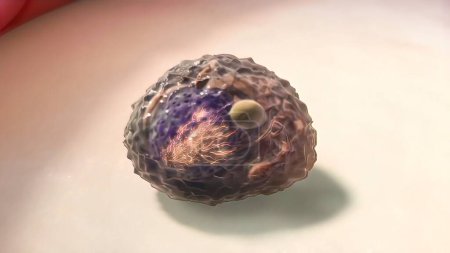 Téléchargez les photos : "Myélome multiple, un type de cancer qui se compose de globules blancs et sa propagation" - en image libre de droit