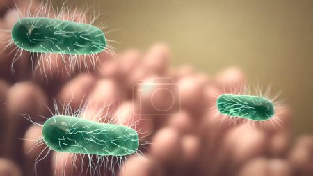 Téléchargez les photos : "Villosités intestinales avec bactéries et virus." - en image libre de droit