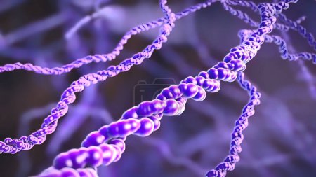 Foto de "Núcleo celular y ADN en la ciencia de la biología
." - Imagen libre de derechos