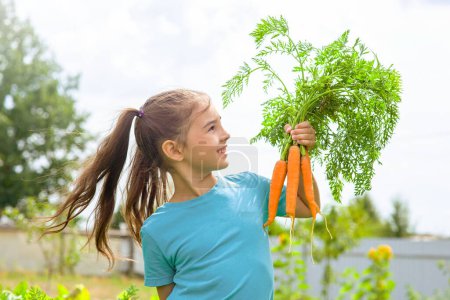 Photo for Smiling little girl in a green t-shirt holds a bunch of fresh carrots - Royalty Free Image