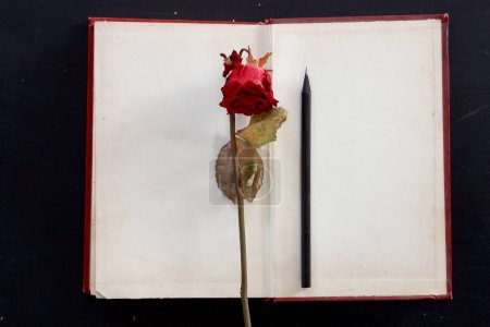 Foto de "Cuaderno viejo y rosa seca" - Imagen libre de derechos
