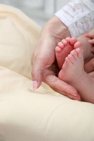 Photo for "baby feet in mother's hands" - Royalty Free Image