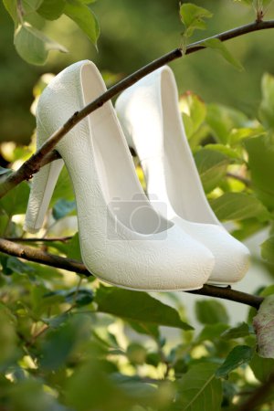 Téléchargez les photos : "Beautiful wedding shoes on the tree" - en image libre de droit