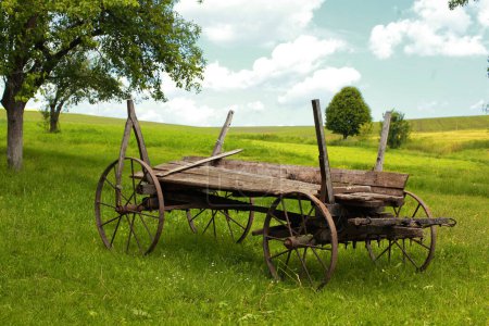 Foto de "Carro de madera viejo en la hierba verde
" - Imagen libre de derechos