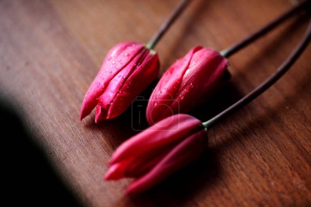 Téléchargez les photos : "Tulipes roses sur une surface en bois
" - en image libre de droit