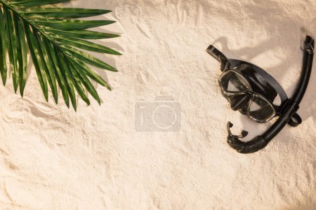 Téléchargez les photos : Disposition d'été palmier feuille masque de natation - en image libre de droit