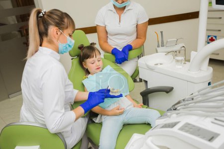 Téléchargez les photos : Dentiste fille regardant prothèses dentaires - en image libre de droit