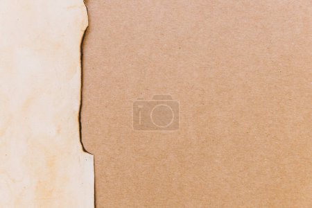 Foto de Textura de papel de cartón rasgado - Imagen libre de derechos