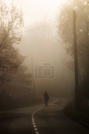 Téléchargez les photos : "Marcher seul sur la route brumeuse" - en image libre de droit