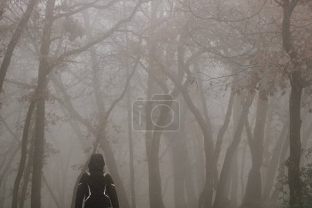 Photo for "Walking in a dark forest" - Royalty Free Image