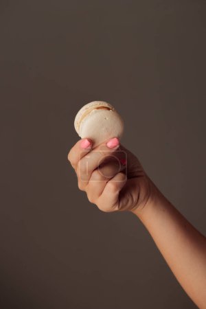 Photo for "French macaroons in woman's hands" - Royalty Free Image
