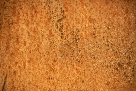 Photo for Rust on metal. Texture of rusty surface - Royalty Free Image