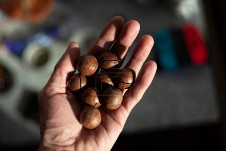 Téléchargez les photos : "Couper les noix à la main. Les noix contiennent des protéines végétales." - en image libre de droit
