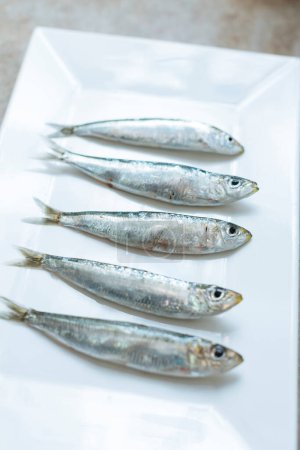 Foto de "Pilchard veneciano (sardina) listo para freír" - Imagen libre de derechos