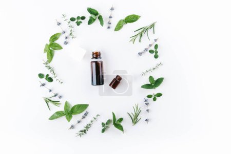 Photo for "ornament of herbs with essential oils bottles" - Royalty Free Image