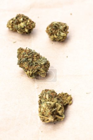 Photo for Legal Marijuana flowers on paper background - Royalty Free Image