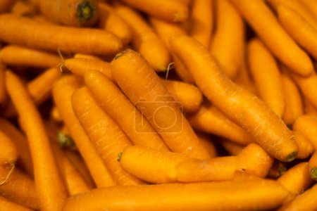 Photo for "Lots of carrots. Food high in vitamin A. Vegetables on market." - Royalty Free Image