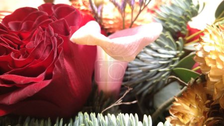 Foto de "Una exuberante rosa escarlata rodeada de ramas verdes y ornamentos." - Imagen libre de derechos