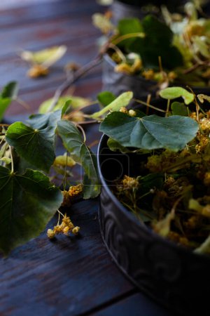 Téléchargez les photos : "Fleurs fraîches récoltées et feuilles de tilleul dans un bol en métal vintage." - en image libre de droit