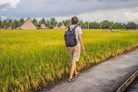 Téléchargez les photos : "Touriste masculin avec un sac à dos va sur la rizière
" - en image libre de droit
