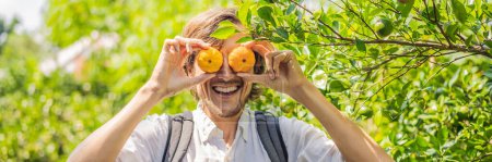 Téléchargez les photos : "homme avec des manlarinas sur une plantation de mandarines - en image libre de droit