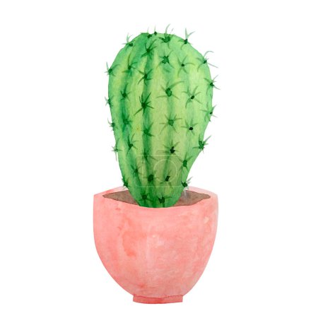 Photo for "Watercolor cactus cacti succulent in ceramic pot. Potted house green natural plants exotic tropical flowers. Interior decoration botanical illustration vibrant design print." - Royalty Free Image