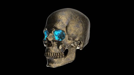 Téléchargez les photos : "Vieux crâne humain en bronze avec des yeux bleus rendu 3d" - en image libre de droit
